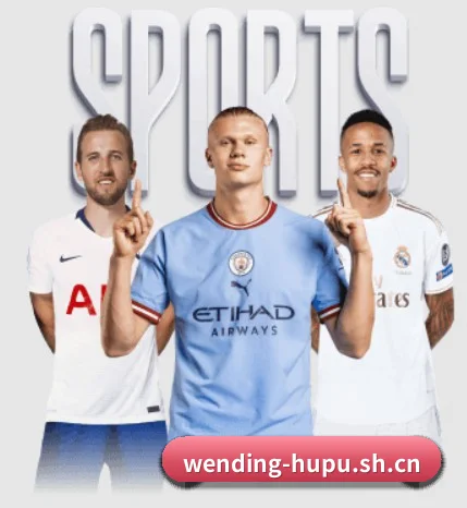 问鼎娱乐 APP 界面 | WENDINGCLUB