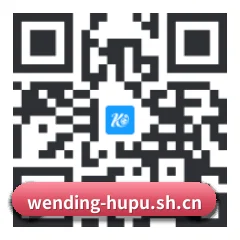 iOS 苹果版 二维码 | WENDINGCLUB